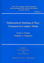 Mathematical Modeling of Mass Transport in Complex Media