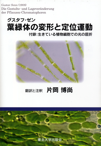 グスタフ・ゼン　葉緑体の変形と定位運動